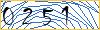 Enter the symbols on image