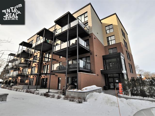 Property #303-259 Rue Notre-Dame main img