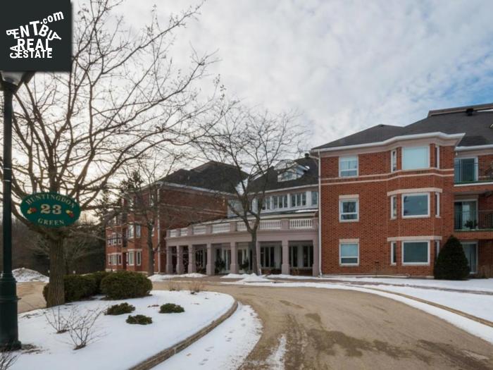 Property 23 Rogers Road Unit#203 main img