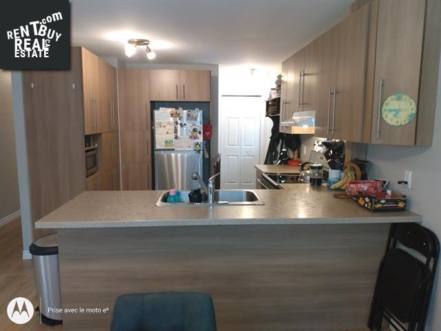 Property 310-312 Rue Monseigneur-Rheaume E. img1