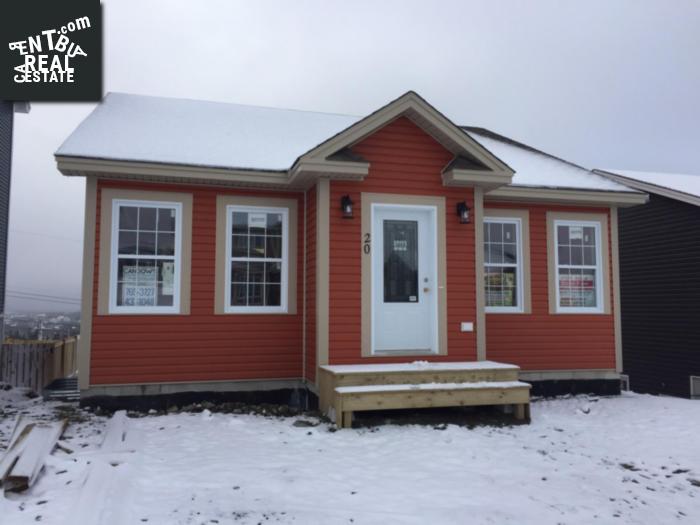 Property 20 Pattison Street main img