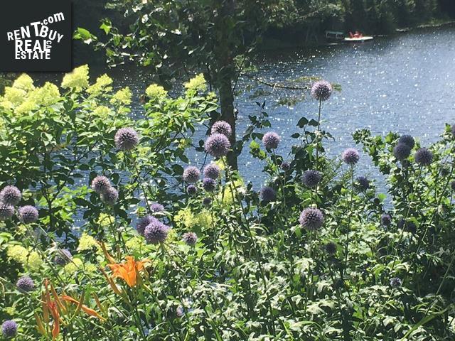 Property 4 Ch. Des Jonquilles main img