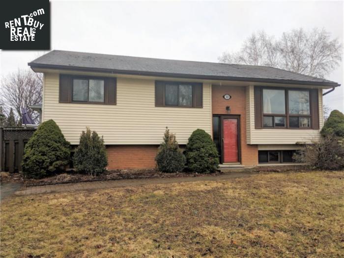 Property 33 Stavebank Road main img