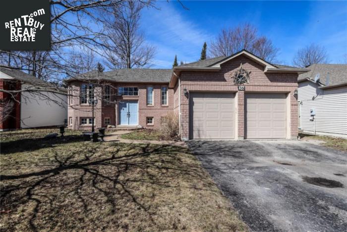 Property 36 Silver Birch Avenue main img