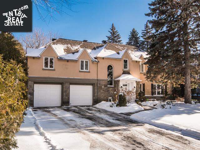 Property 438 Av. Kindersley main img