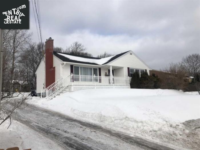 Property 29 Riverdale Drive main img