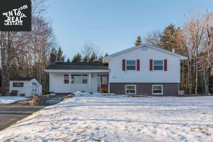 Property 159 Pinetree Crescent main img