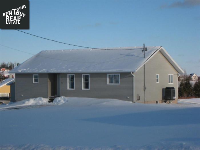 Property 7 Macphee Avenue main img