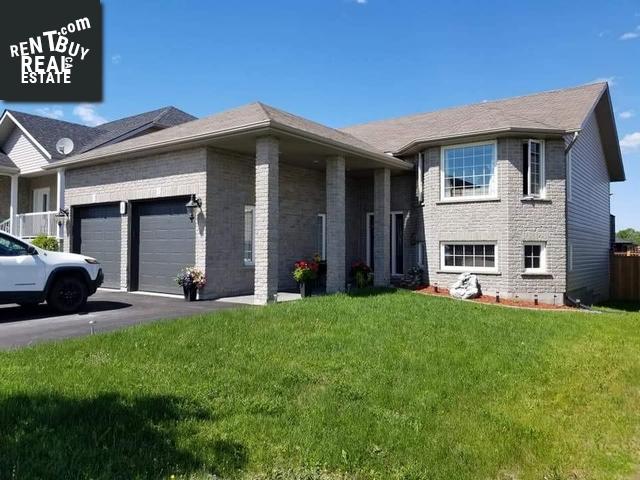 Property 8 Alliston Avenue main img