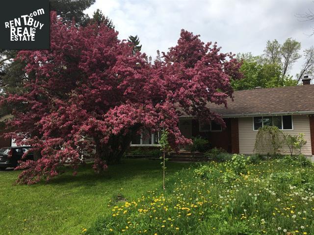 Property 292 Av. Inglewood main img