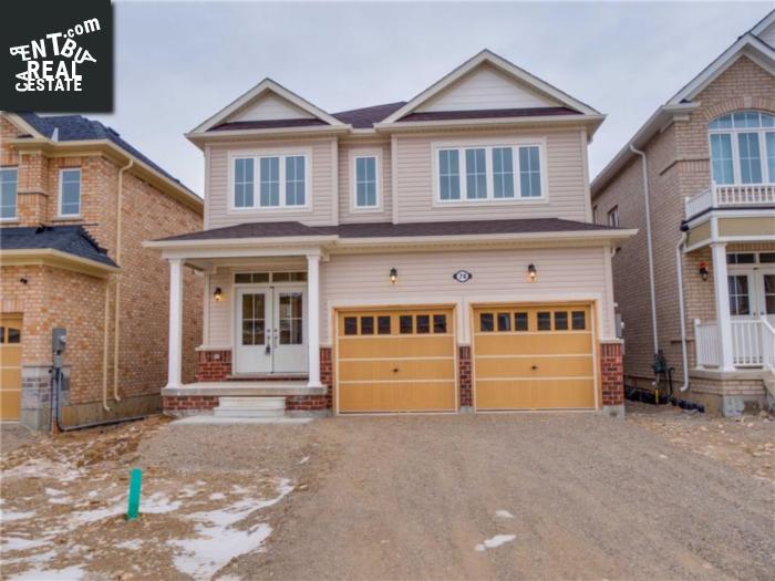 Property 74 Barlow Place main img