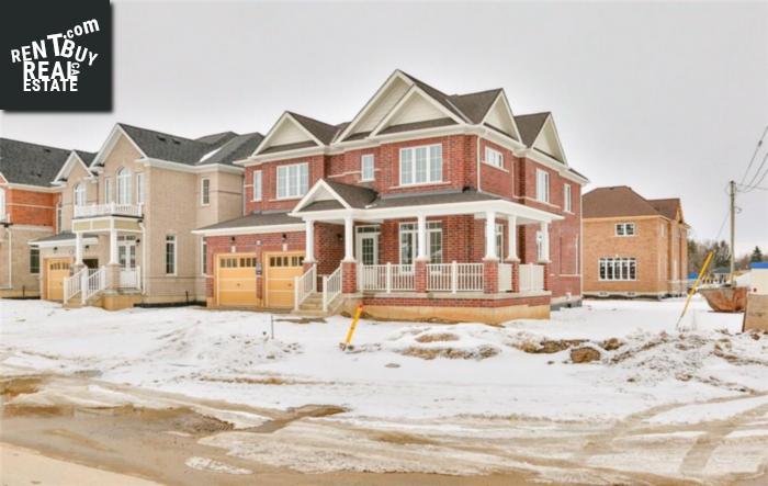 Property 45 Barlow Place main img