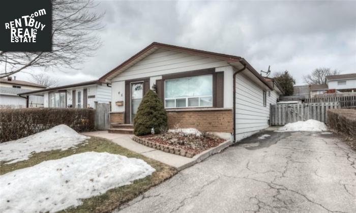 Property 46 Forest Glen Crescent main img