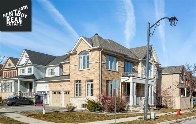 Property 89 Forbes Terrace main img