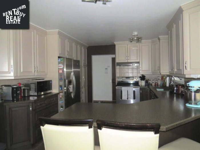 Property 19 Mackenzie Dr main img