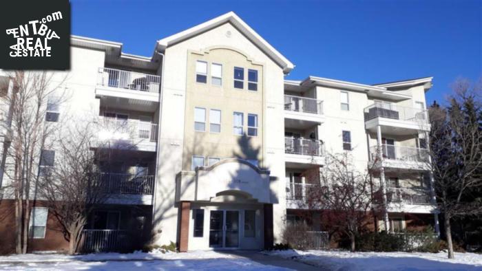 Property #206 11104 109 Av Nw main img