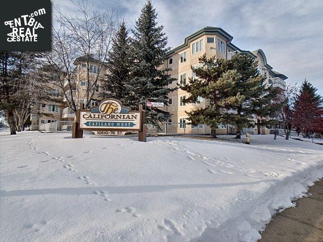Property #210 10610 76 St Nw main img