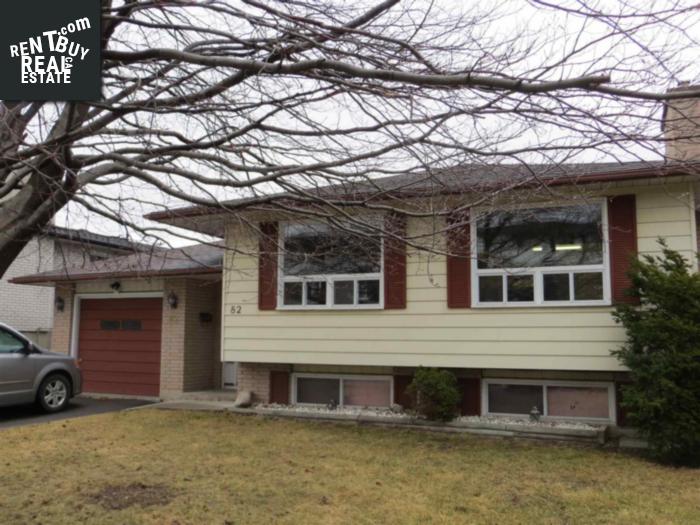 Property 82 Joyce St main img