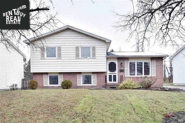 Property 177 Ashley Cres main img