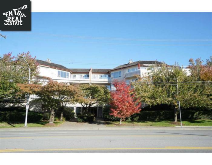 Property 203 7480 Gilbert Road main img