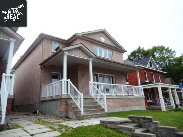 Property 36 Robert St main img
