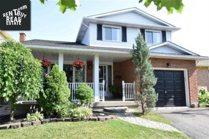 Property 44 Capri St main img