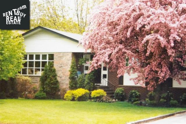Property 451 Loachs Rd main img