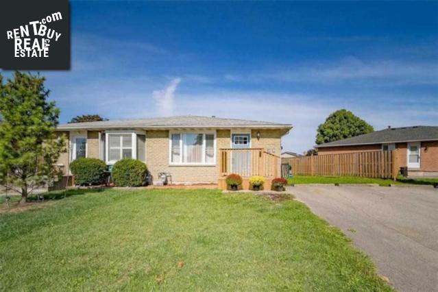 Property 25 Lampman Cres main img