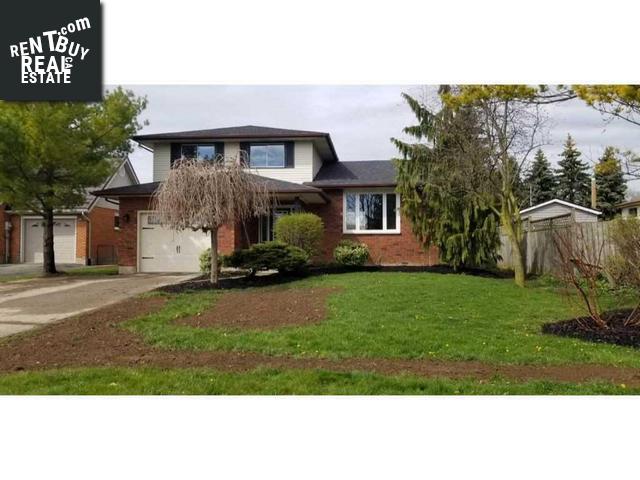Property 105 Edward Crt main img